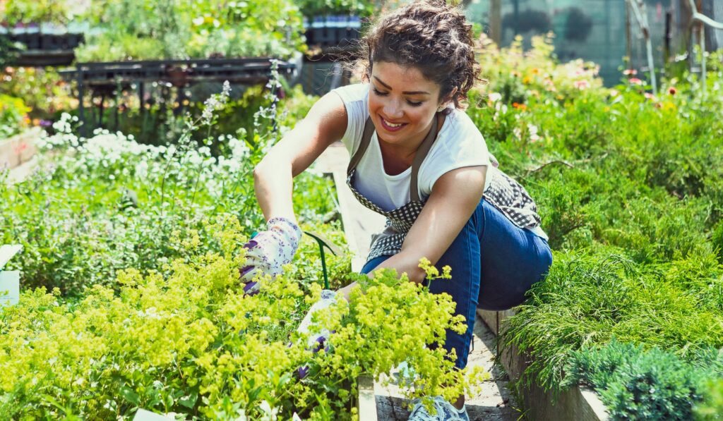 Digital Marketing for Gardeners