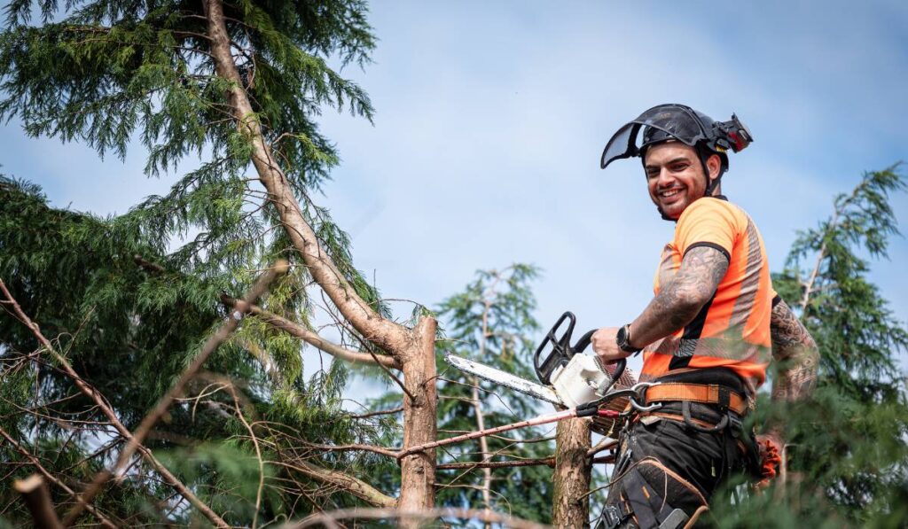 SEO for Tree Surgeons