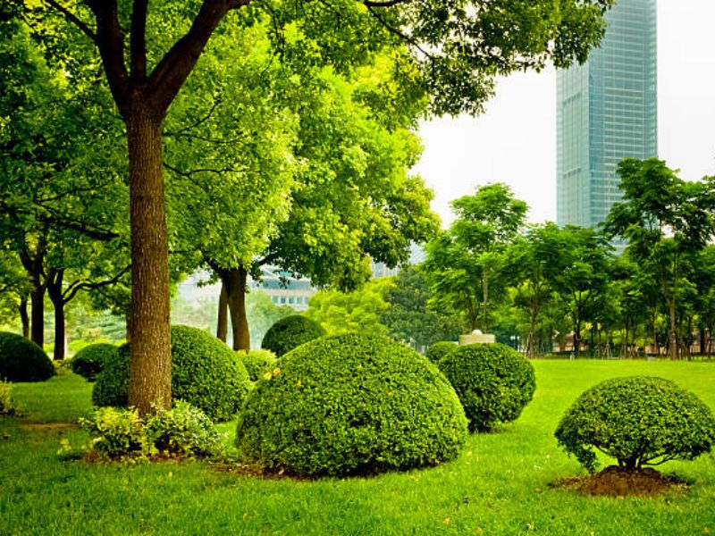 Mastering Landscaping SEO Strategies for Online Visibility