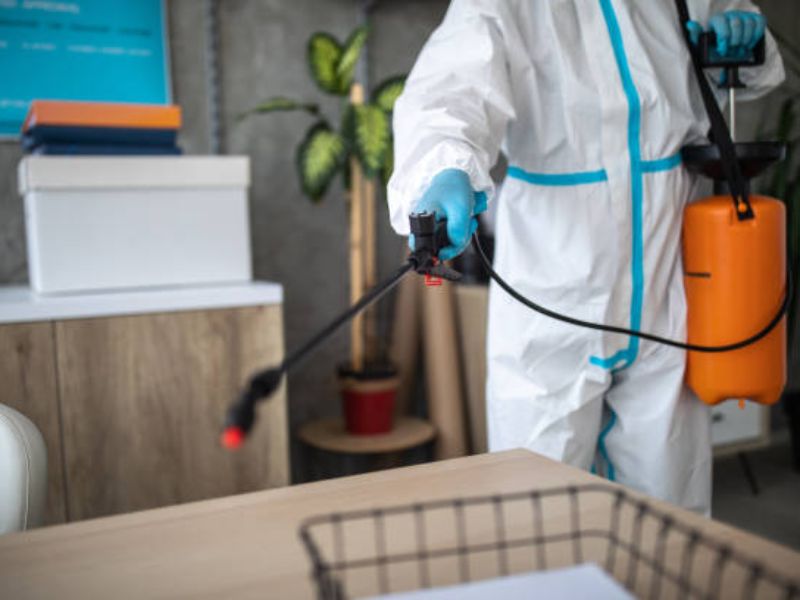 Mastering Pest Control Lead Generation Strategies