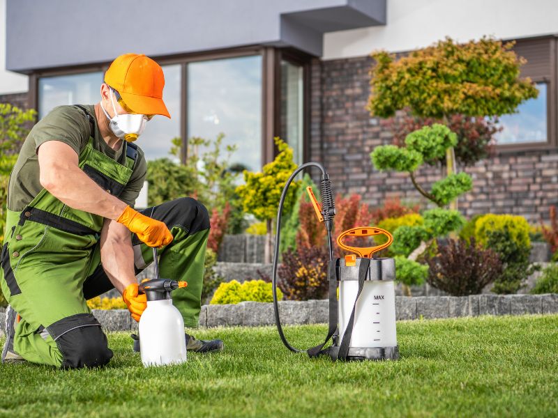 Pest Control Seo
