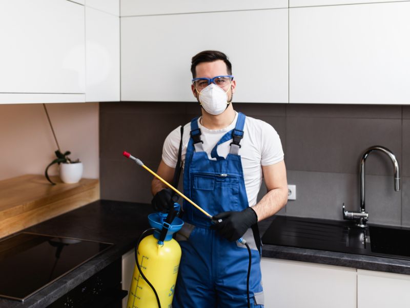 Swarm the Market Innovative Pest Control Marketing Ideas for Growth