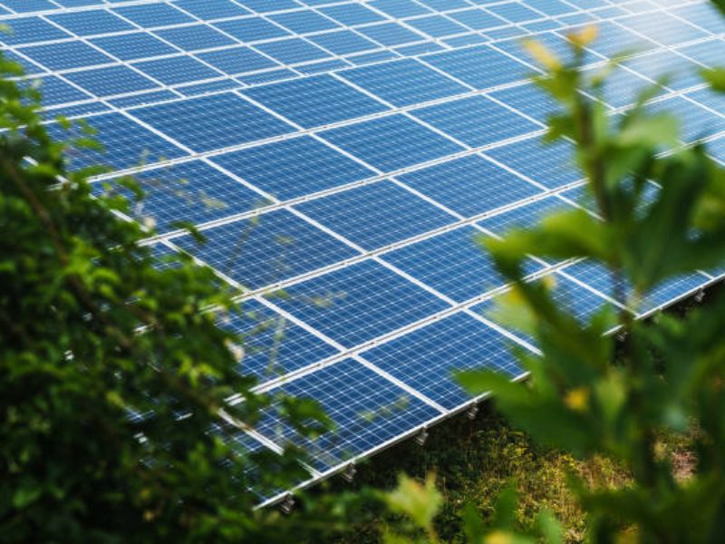  Digital Marketing Strategies for Renewable Energy Firms