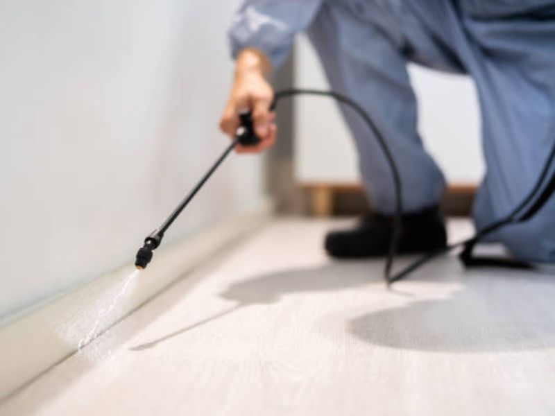 Facebook Ad Campaigns to Keep Your Space Pest-Free