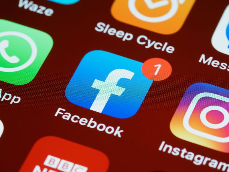 Irresistible Pest Control Facebook Ads for a Bug-Free Home