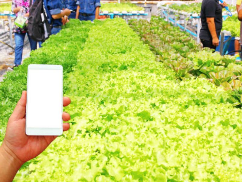 Strategic Digital Marketing for Agricultural Enterprises