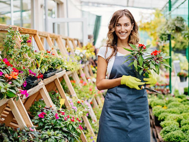 A Guide to Boosting Your Business through Social Media