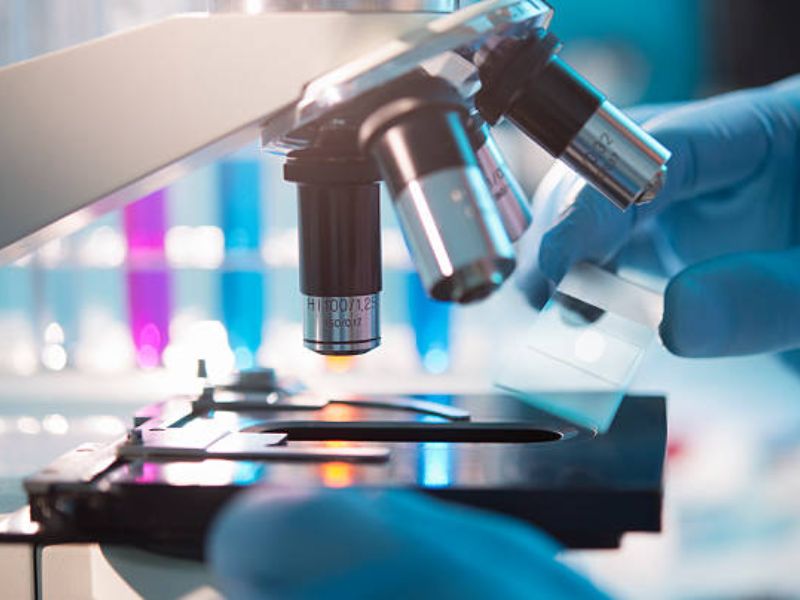 Digital Marketing Solutions for Laboratory Equipment Providers