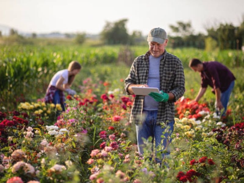 Elevating Your Floral Company on Social Media